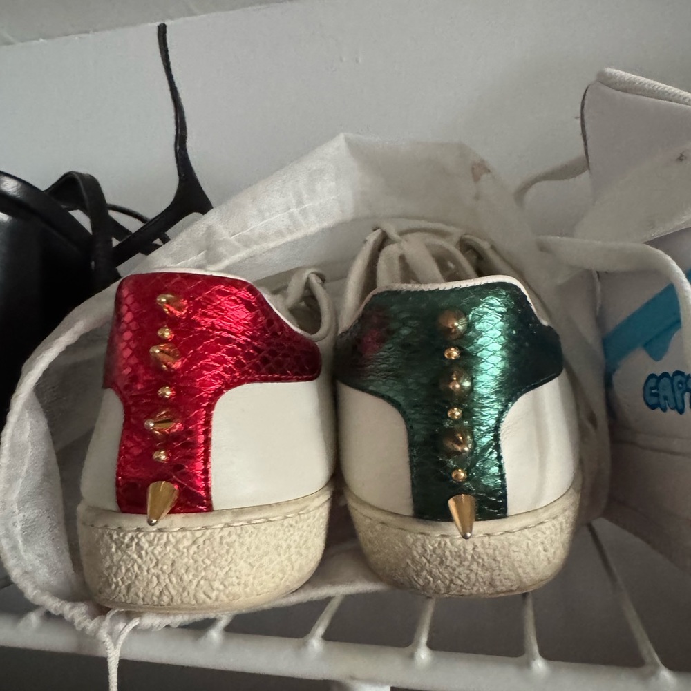 Stylish Red and Green Women's Sneakers